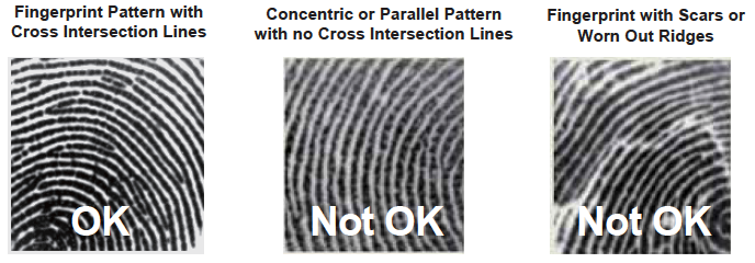 Lockly Smart Home Lock Fingerprint Types
